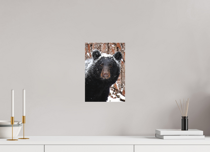 8 x 12″, Canvas "Smoky Mountain Gaze" - Black bear close-up