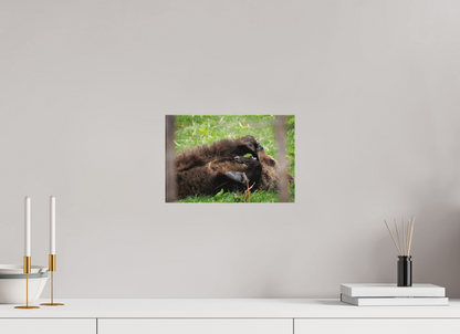 12 x 8″, Canvas "Playful Beginnings" - Grizzly Bear