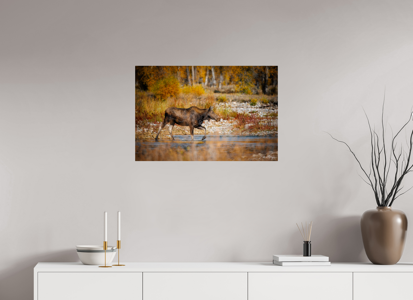 30 x 20″, Metal "Grace of Gros Ventre" - Moose