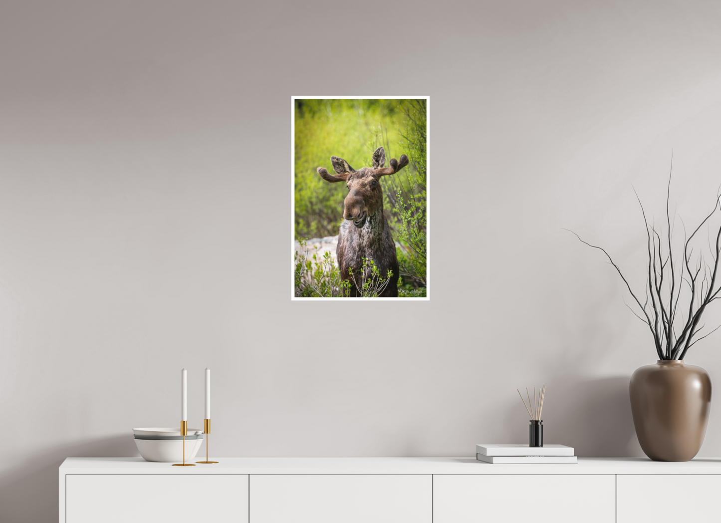 16 x 24″, Fine art print "Willow Smile" - Moose