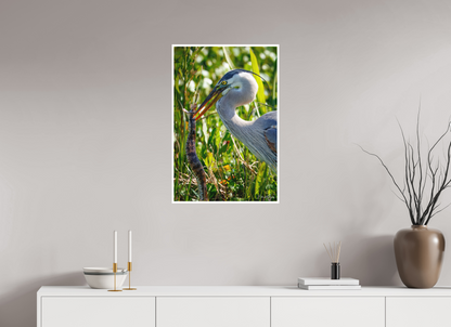 20 x 30″, Fine art print "The Hunt in the Marsh" - Great Blue Heron