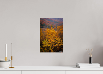 10 x 15″, Metal "Autumn Blaze" - Smoky Mountain Ridge