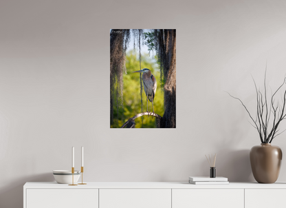 20 x 30″, Acrylic "Framed by the Moss" - Great Blue Heron