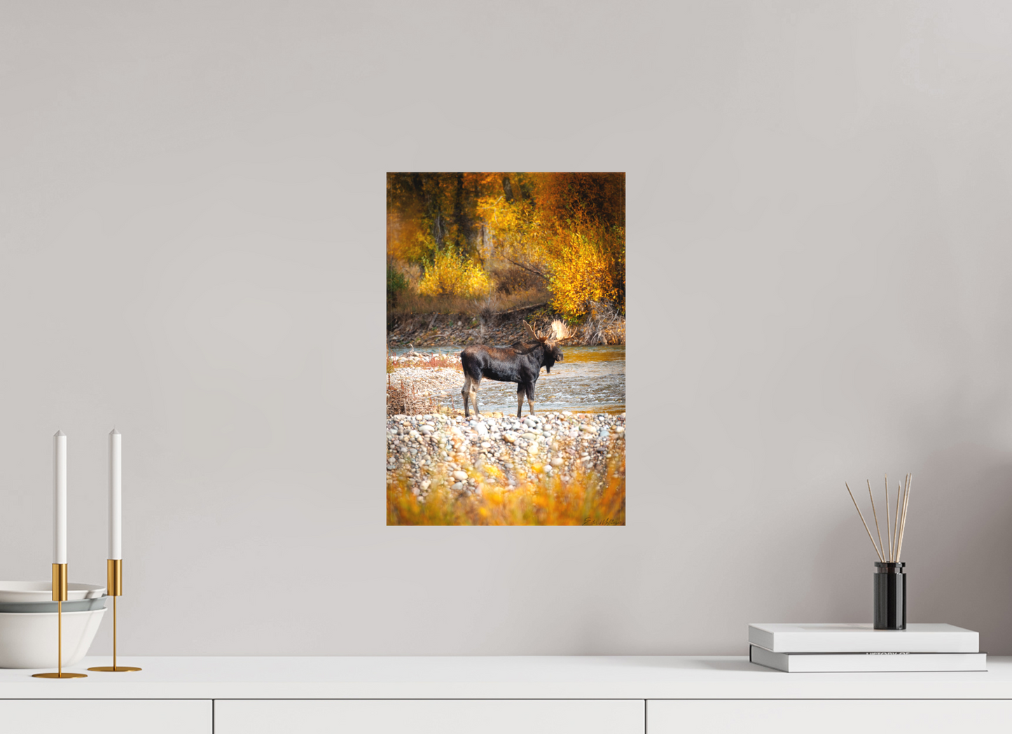 10 x 15″, Canvas "King of the Colors" - Bull Elk, Gros Ventre River