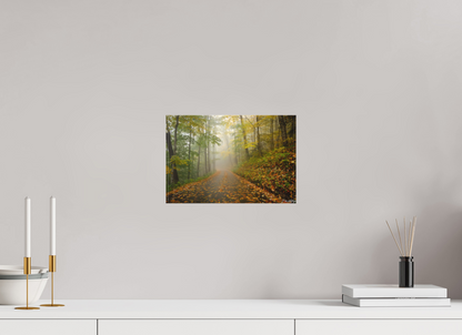 12 x 8″, Canvas "The Way Through the Mist"