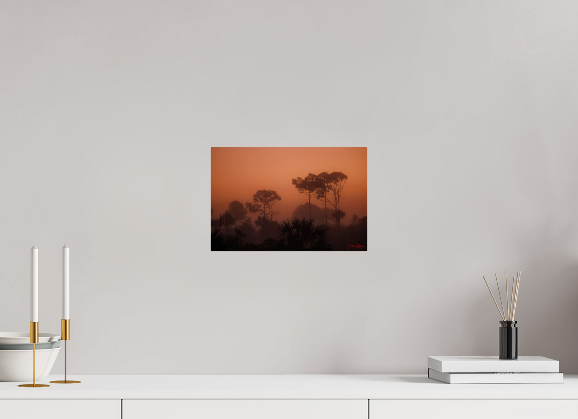 12 x 8″, Metal "First Light" - Big Cypress Sunrise