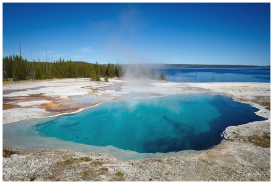 Main image "Quiet Depths" - West Thumb Geyser Basin