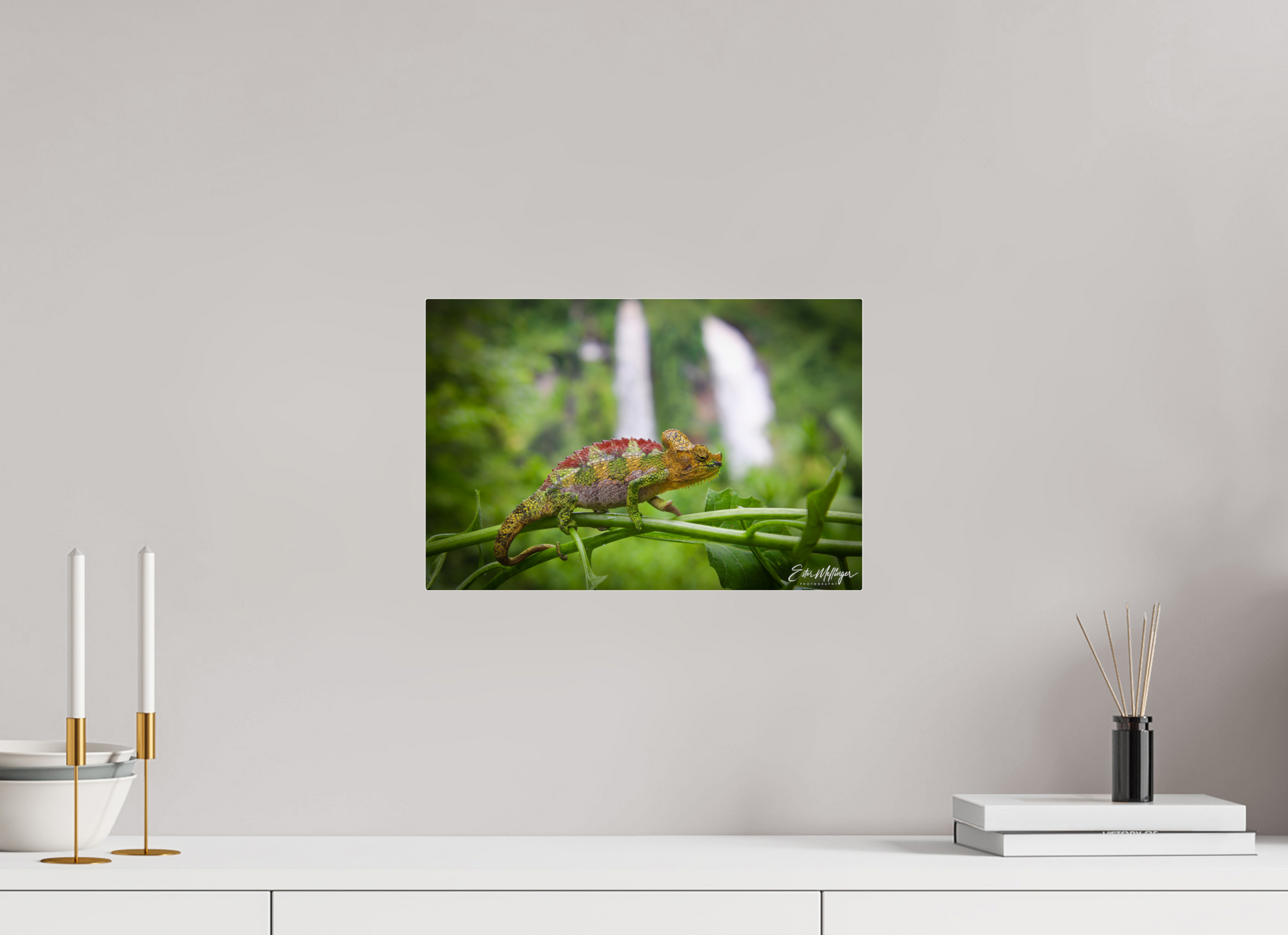 15 x 10″, Acrylic "Guardian of the Falls" - Chameleon in the Rainforest