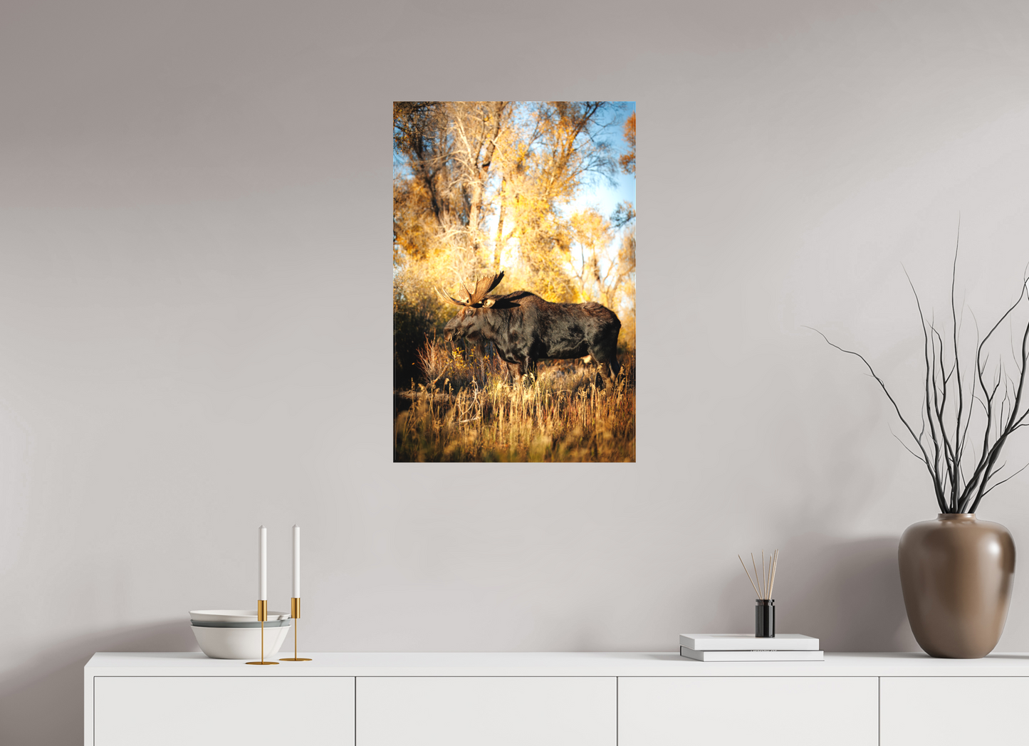 20 x 30″, Canvas "Monarch of Gros Ventre - Stillness" - Bull Moose
