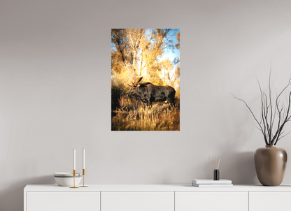 20 x 30″, Canvas "Monarch of Gros Ventre - Stillness" - Bull Moose