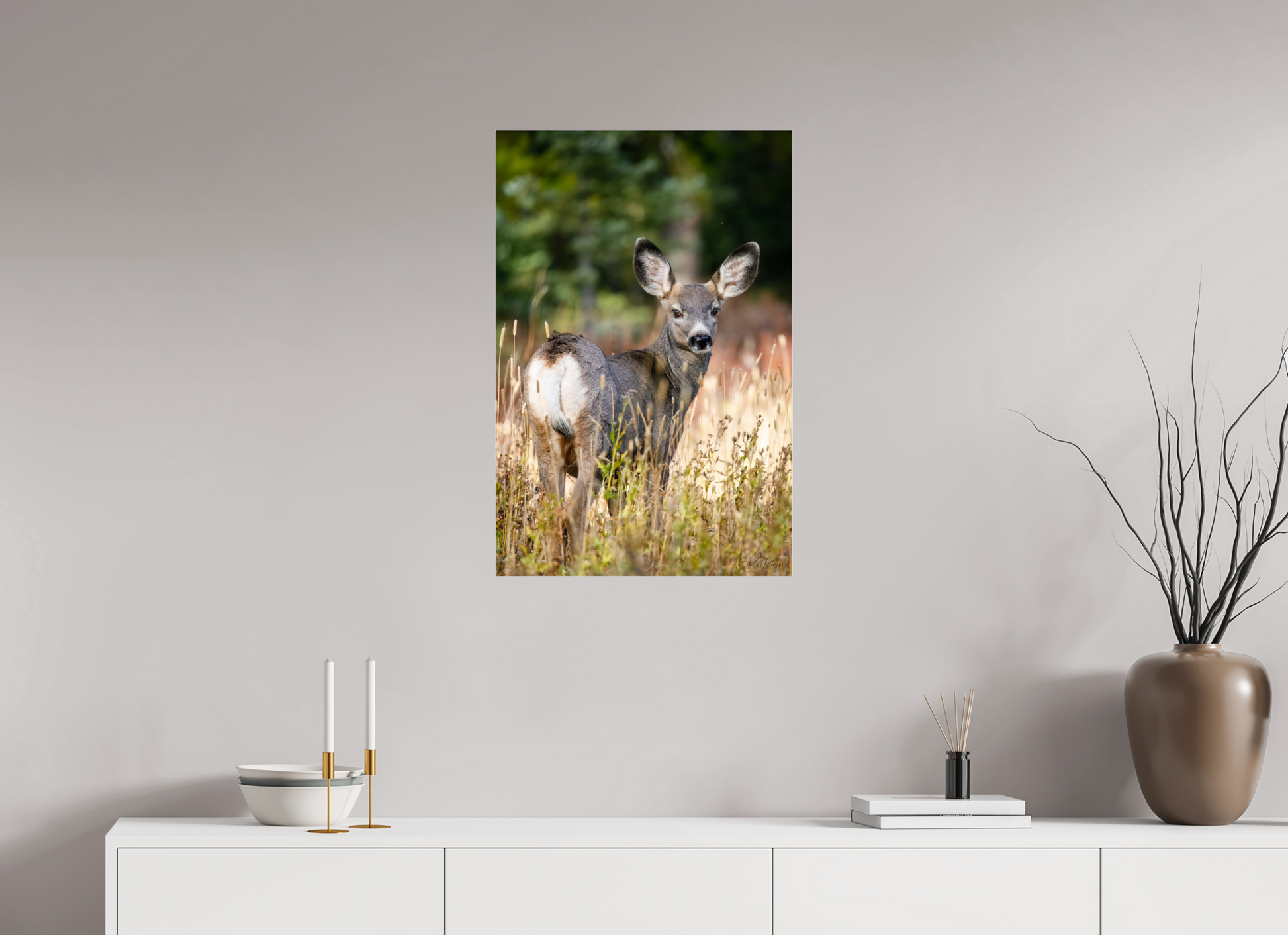 20 x 30″, Acrylic "The Look Back" - Mule Deer