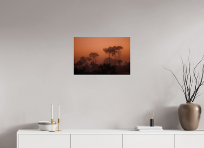 24 x 16″, Acrylic "First Light" - Big Cypress Sunrise