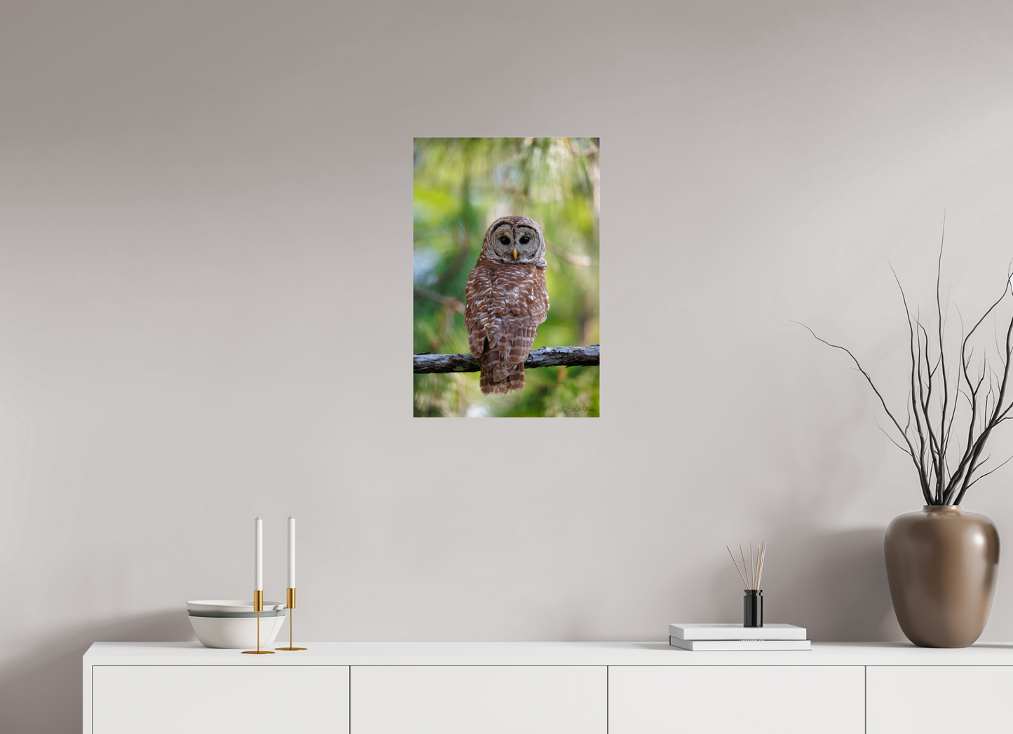16 x 24″, Acrylic "..." - Barred Owl