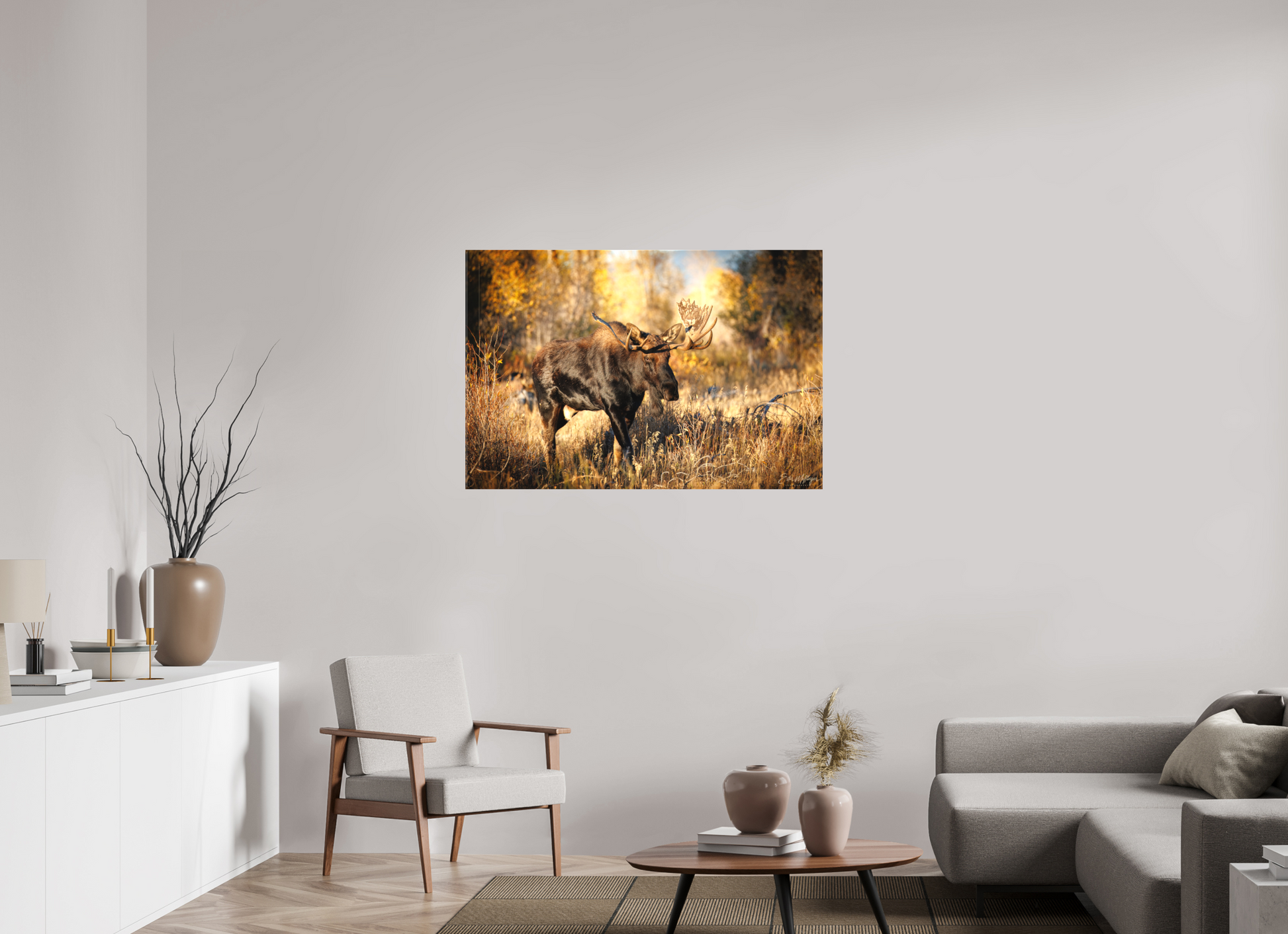 45 x 30″, Canvas "Monarch of Gros Ventre" - Bull Moose