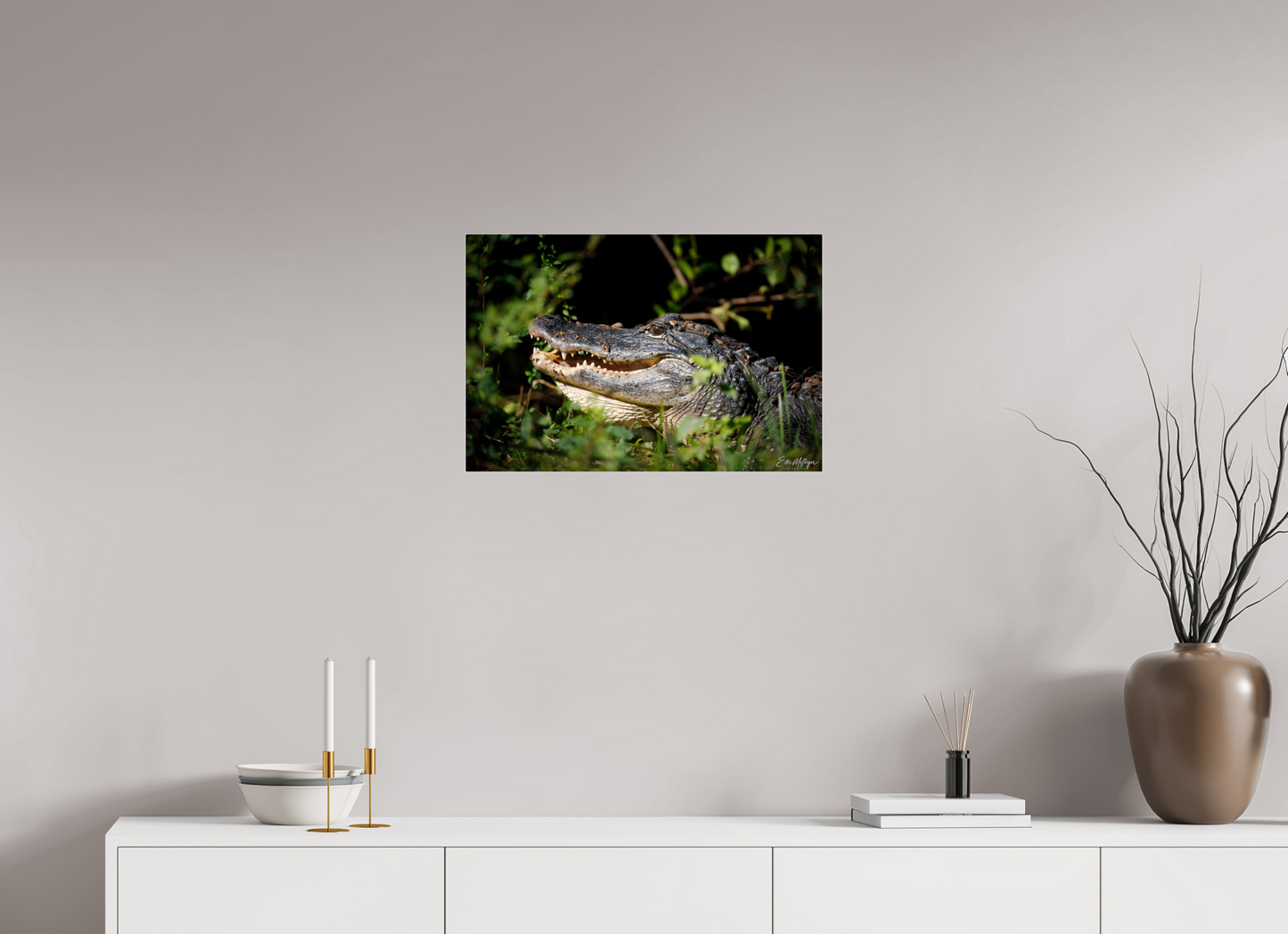 24 x 16″, Acrylic "At the Water's Edge" - American Alligator