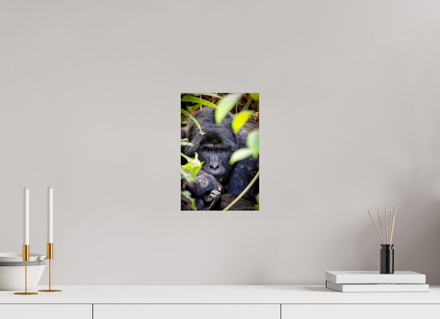 Silverback with his baby