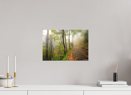 15 x 10″, Canvas "When the Fog Lingers"