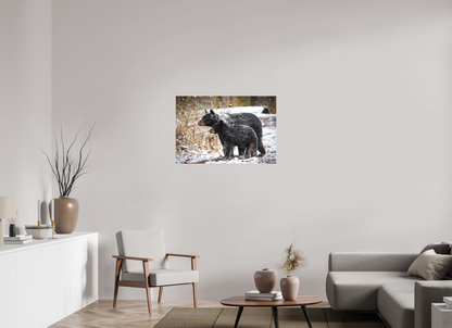 36 x 24″, Canvas "Guardians of the Snow" - Black Bears
