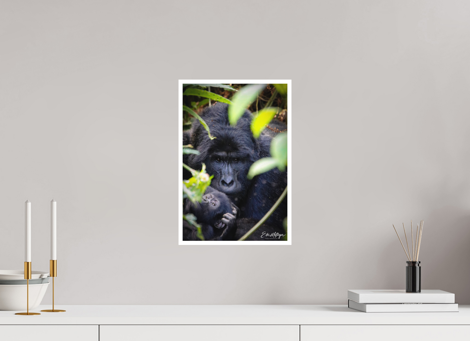 10 x 15″, Fine art print "The Watchful One' - Silverback and his young