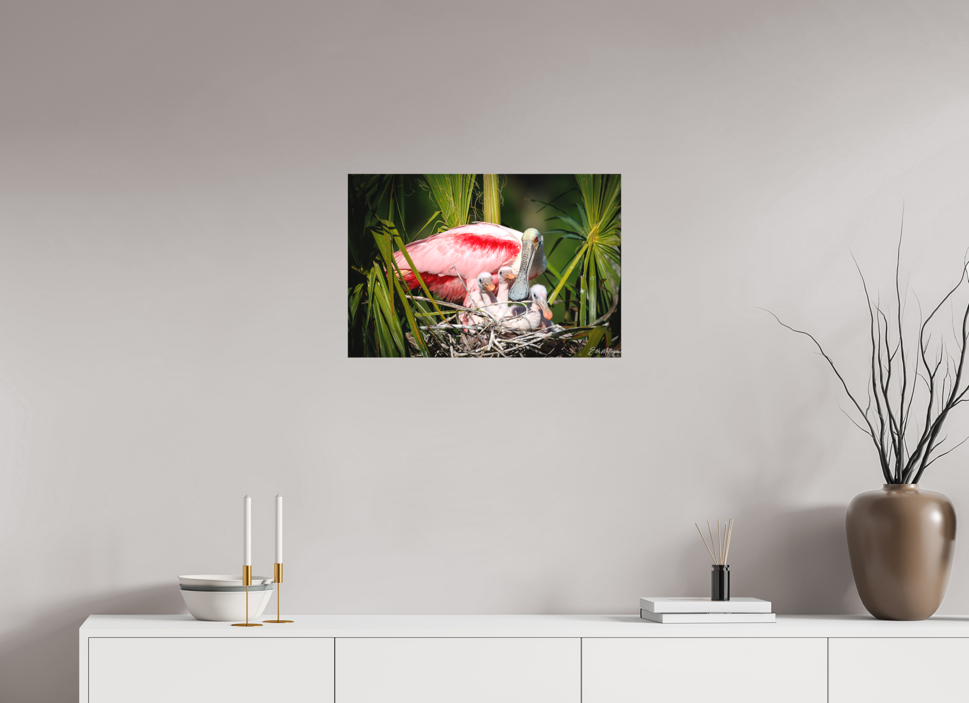 24 x 16″, Canvas "The Nest Above" - Spoonbills