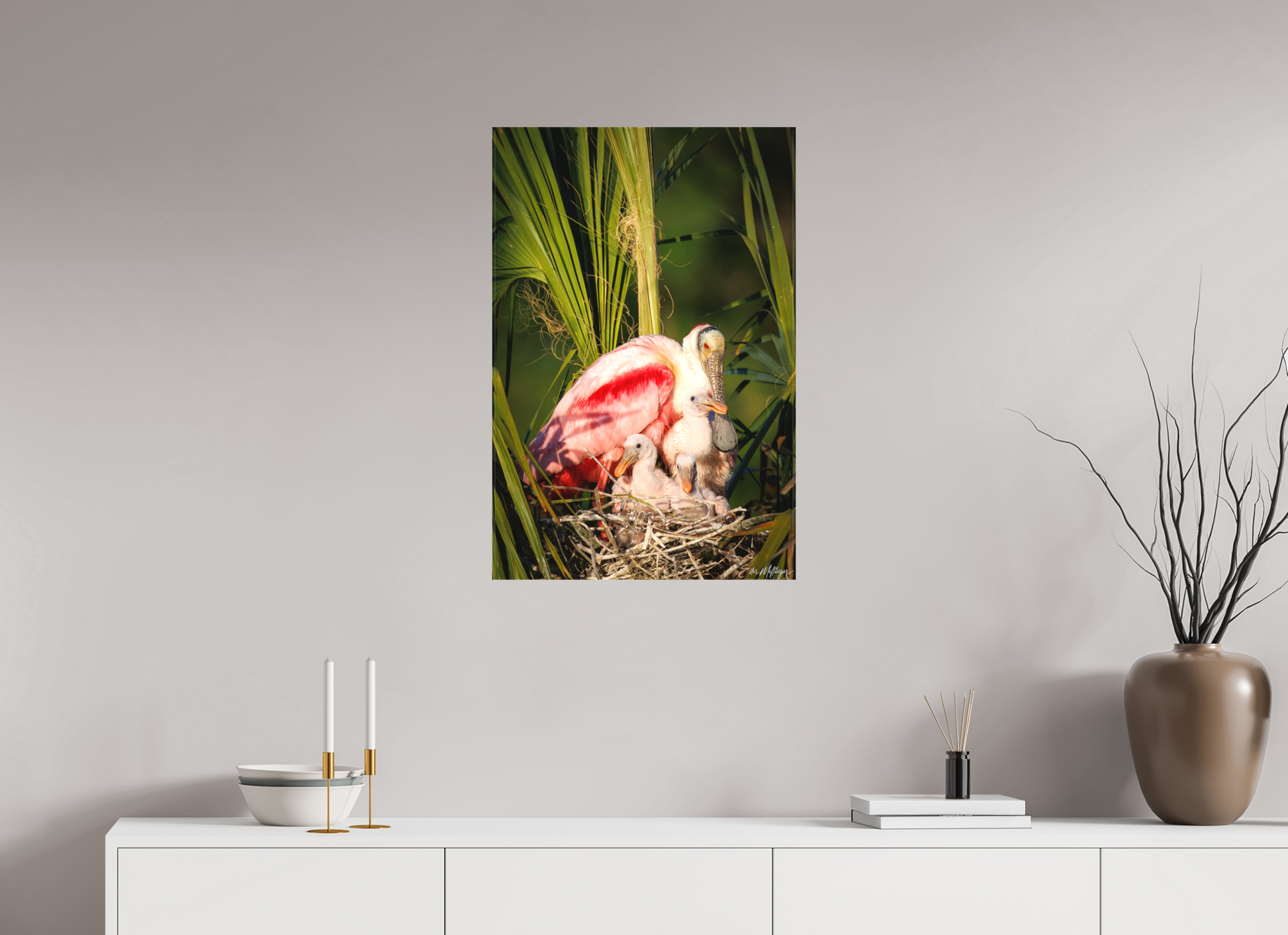 20 x 30″, Canvas "Golden Hour Nest" - Spoonbills