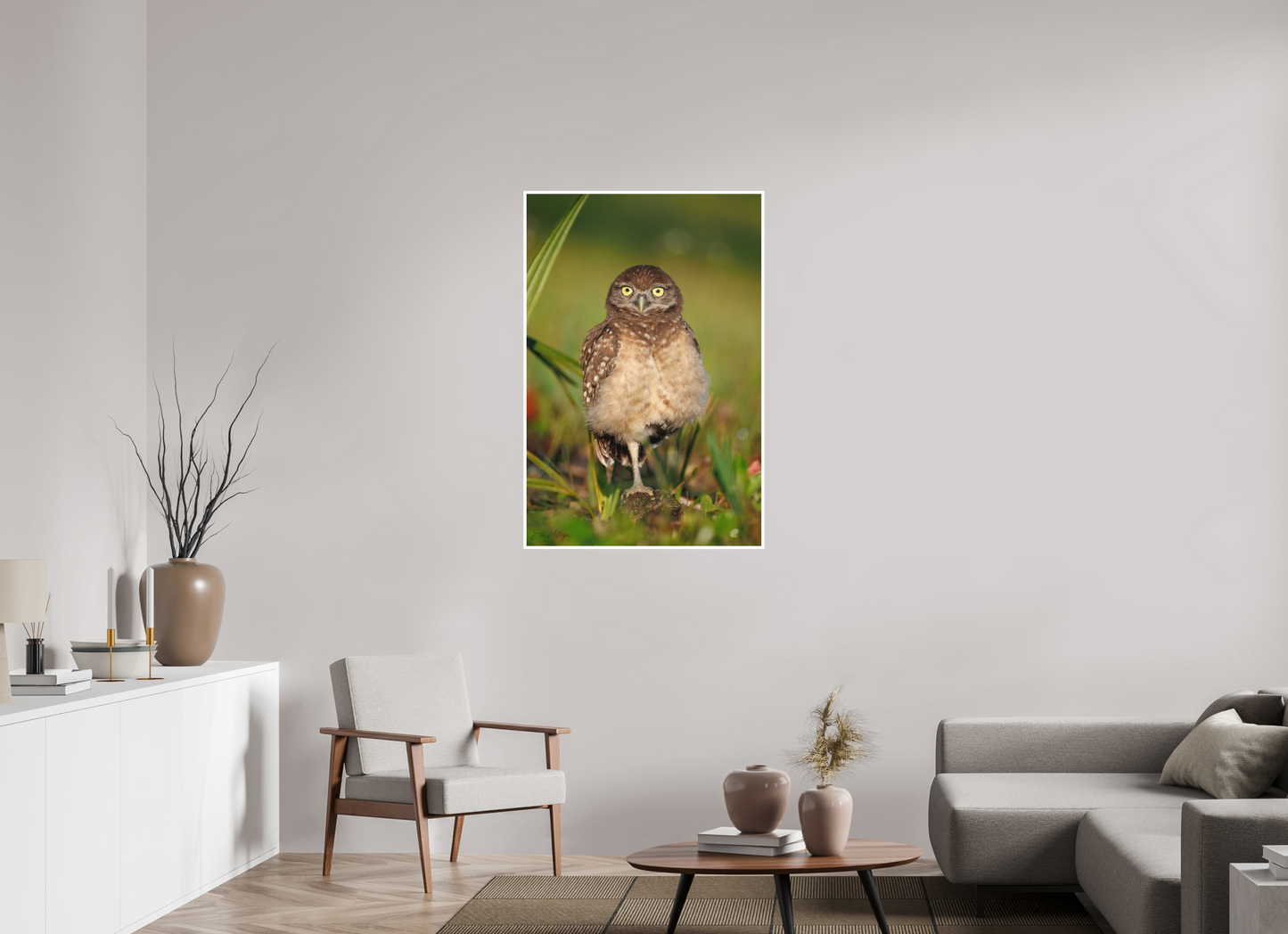 30 x 45″, Fine art print "Little Lookout" - Burrowing owlet